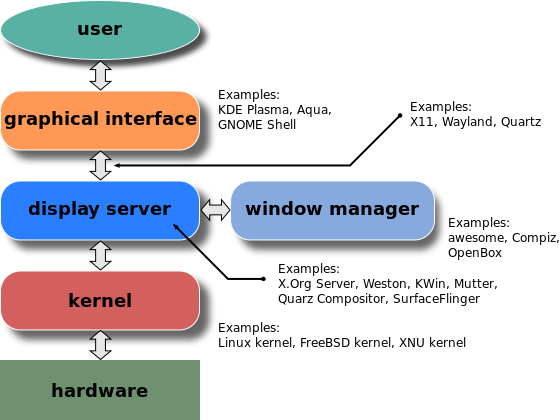 The basic components of a GUI