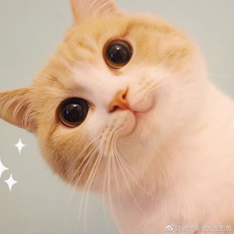 LemonYu于2019-12-26 16:14发布的图片