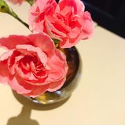 张宁Bridgette的个人资料头像