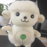 oky的个人资料头像