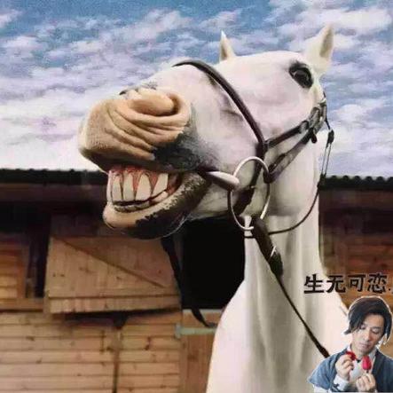 碉堡了于2019-12-27 15:36发布的图片