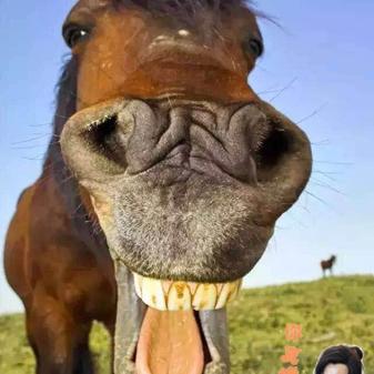 碉堡了于2019-12-27 15:36发布的图片