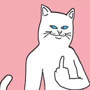 爱吃西瓜的豆奶的个人资料头像