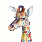 undefined的个人资料头像