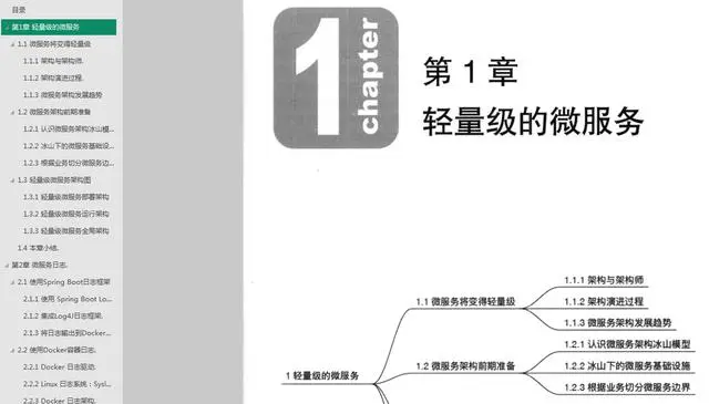 从零开始搭建轻量级微服务架构，开源框架创始人带你走完全程