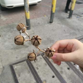 墨迎于2019-12-28 22:36发布的图片