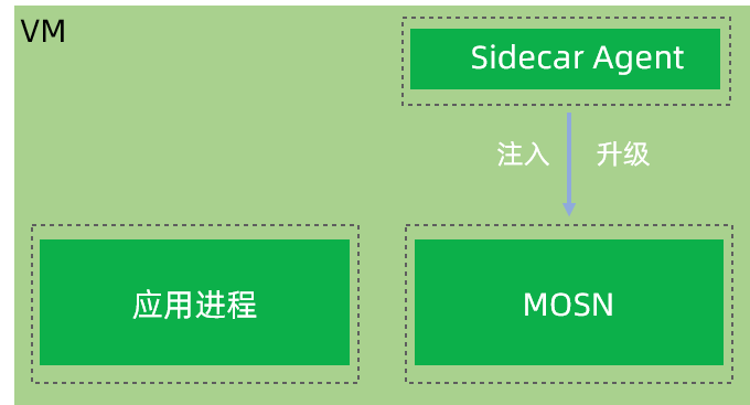 VM