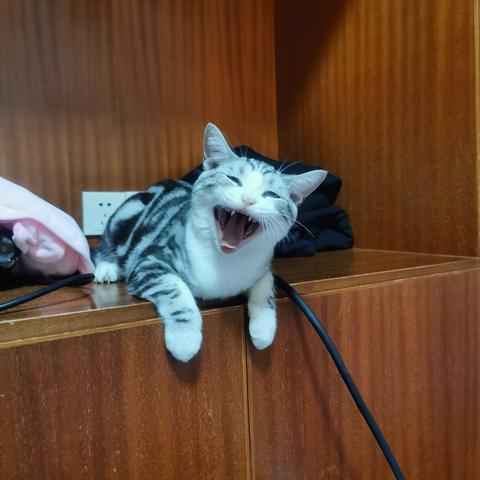 说出你的愿望吧于2019-12-03 10:46发布的图片