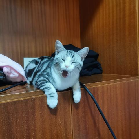 说出你的愿望吧于2019-12-03 10:46发布的图片