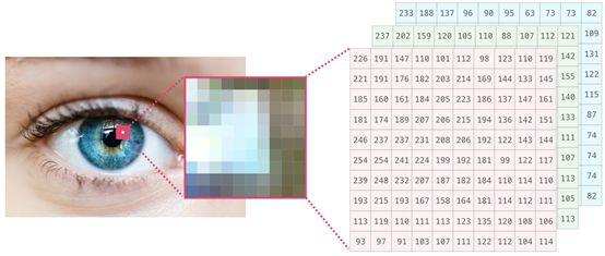 不能错过！有关 NumPy 和数据表达的可视化介绍