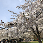 胖瘦瘦的个人资料头像