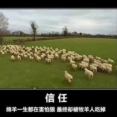 山花于2019-12-30 21:05发布的图片