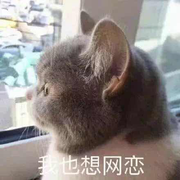 Joy狗子赖的个人资料头像
