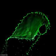 冥鸿的个人资料头像