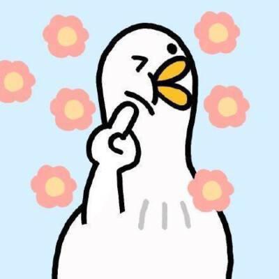 rain_于2019-12-31 10:43发布的图片