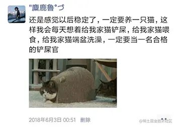 打卡养猫成功~