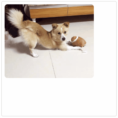 JowayYoung于2019-12-04 09:46发布的图片