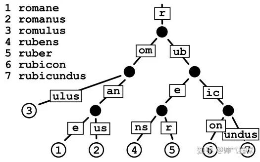 radix tree