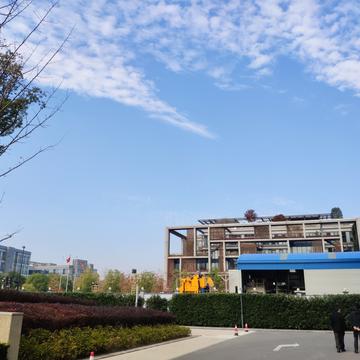戈吉于2019-12-04 12:53发布的图片