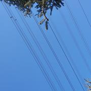 达达red的个人资料头像