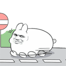 你的饲养员于2019-12-05 09:50发布的图片