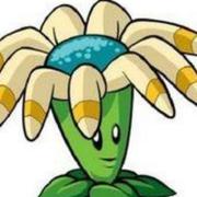 先生yEs的个人资料头像