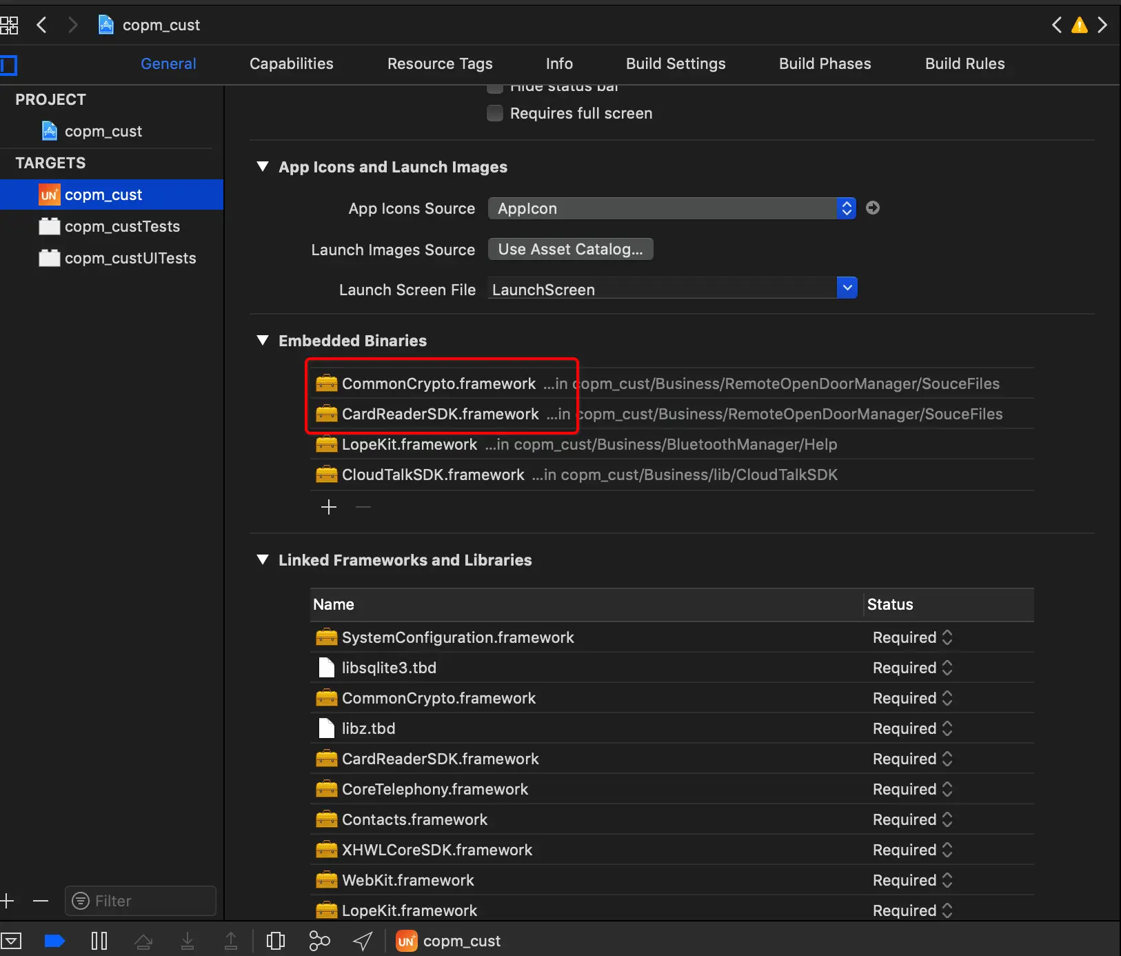 Embedded Binaries添加framework