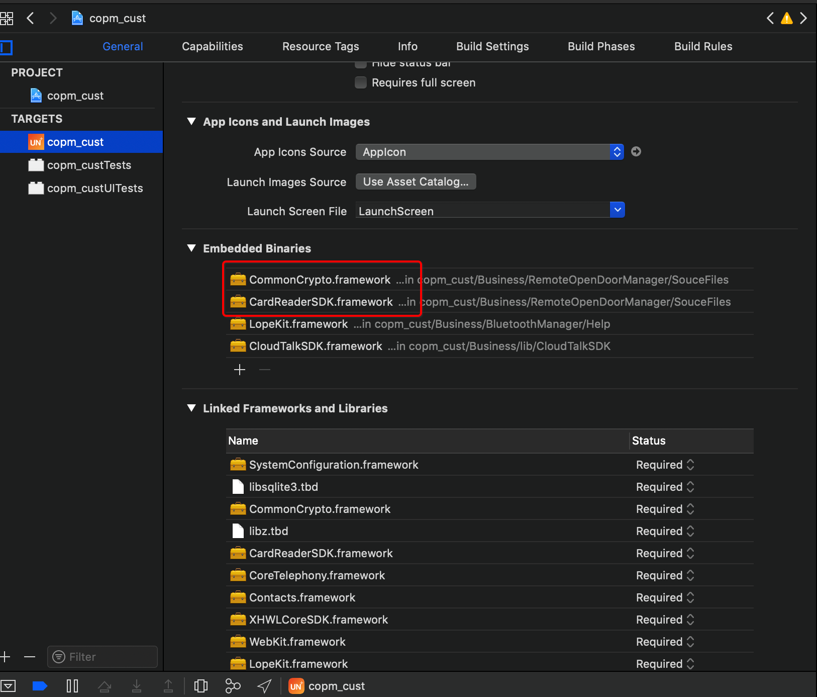 Embedded Binaries添加framework