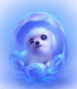 多啦图的个人资料头像