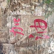 嘟嘛一升的个人资料头像