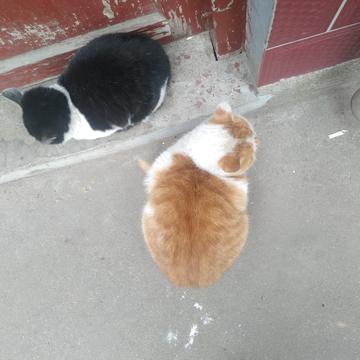 星期六吃土豆于2019-12-06 08:39发布的图片