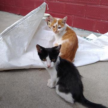 星期六吃土豆于2019-12-06 08:39发布的图片