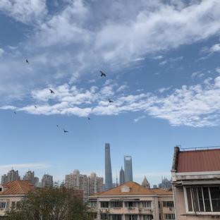 username_于2019-12-06 09:09发布的图片