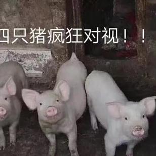 问征夫以前路于2019-12-06 22:45发布的图片
