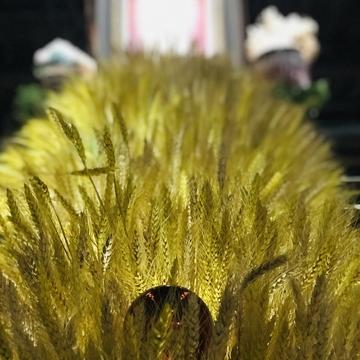 Rockbean于2019-12-07 19:27发布的图片