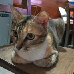 轻舞于时光流河于2019-12-09 10:24发布的图片