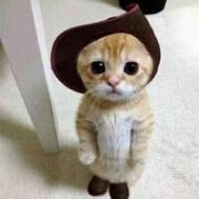 Tristasong的个人资料头像