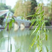 菜鸟的奋斗之路的个人资料头像