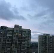 cqd的个人资料头像