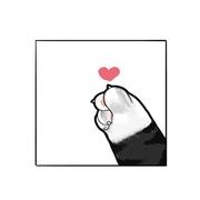 静哥哥本尊的个人资料头像