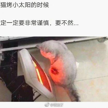 程序员鼓励喵于2019-02-10 11:16发布的图片