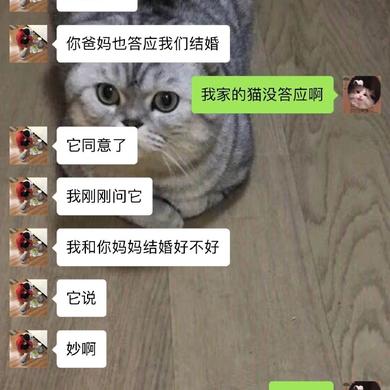 娱乐小编于2019-02-11 09:45发布的图片