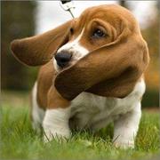 miranda67752的个人资料头像