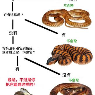 娱乐小编于2019-02-12 18:31发布的图片