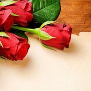 每的个人资料头像