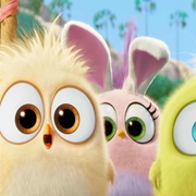 13057569293的个人资料头像