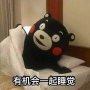 弱鸡的个人资料头像