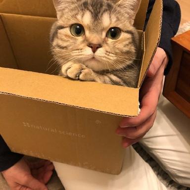 程序员鼓励喵于2019-02-15 09:24发布的图片