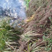 工位划水冠军的个人资料头像