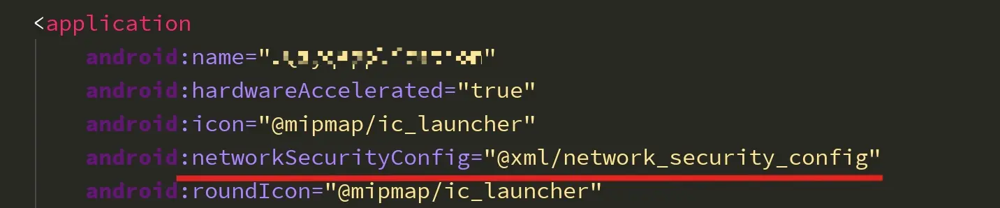 networkSecurityConfig 配置